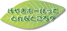 けやきホールってどんなところ？